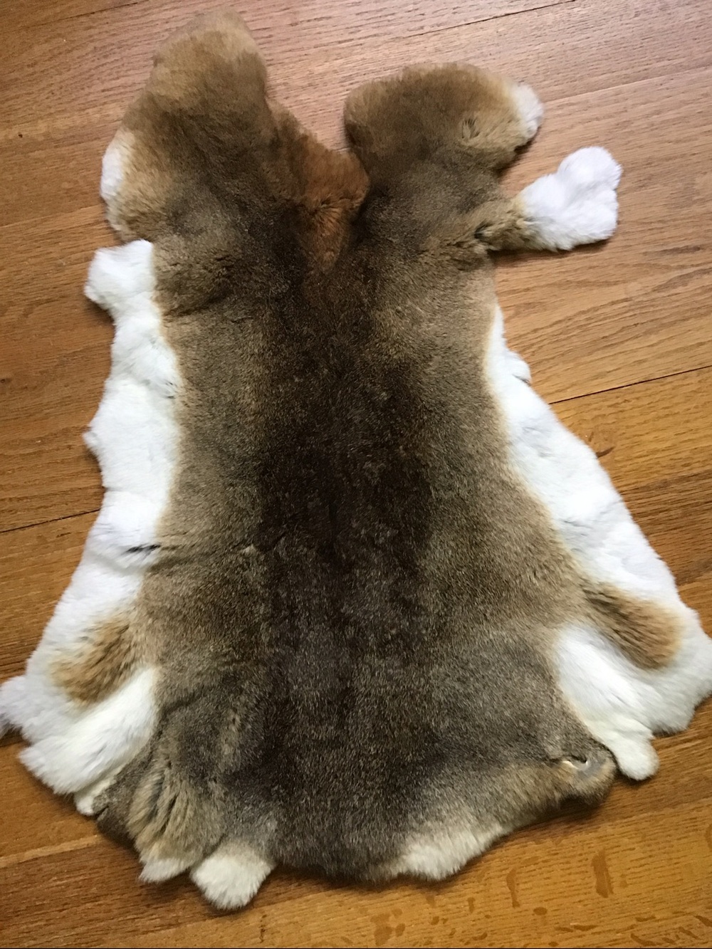 B0025 Luxury Rex Rabbit Hide - Velvet Soft Premium Craft Fur Pelt